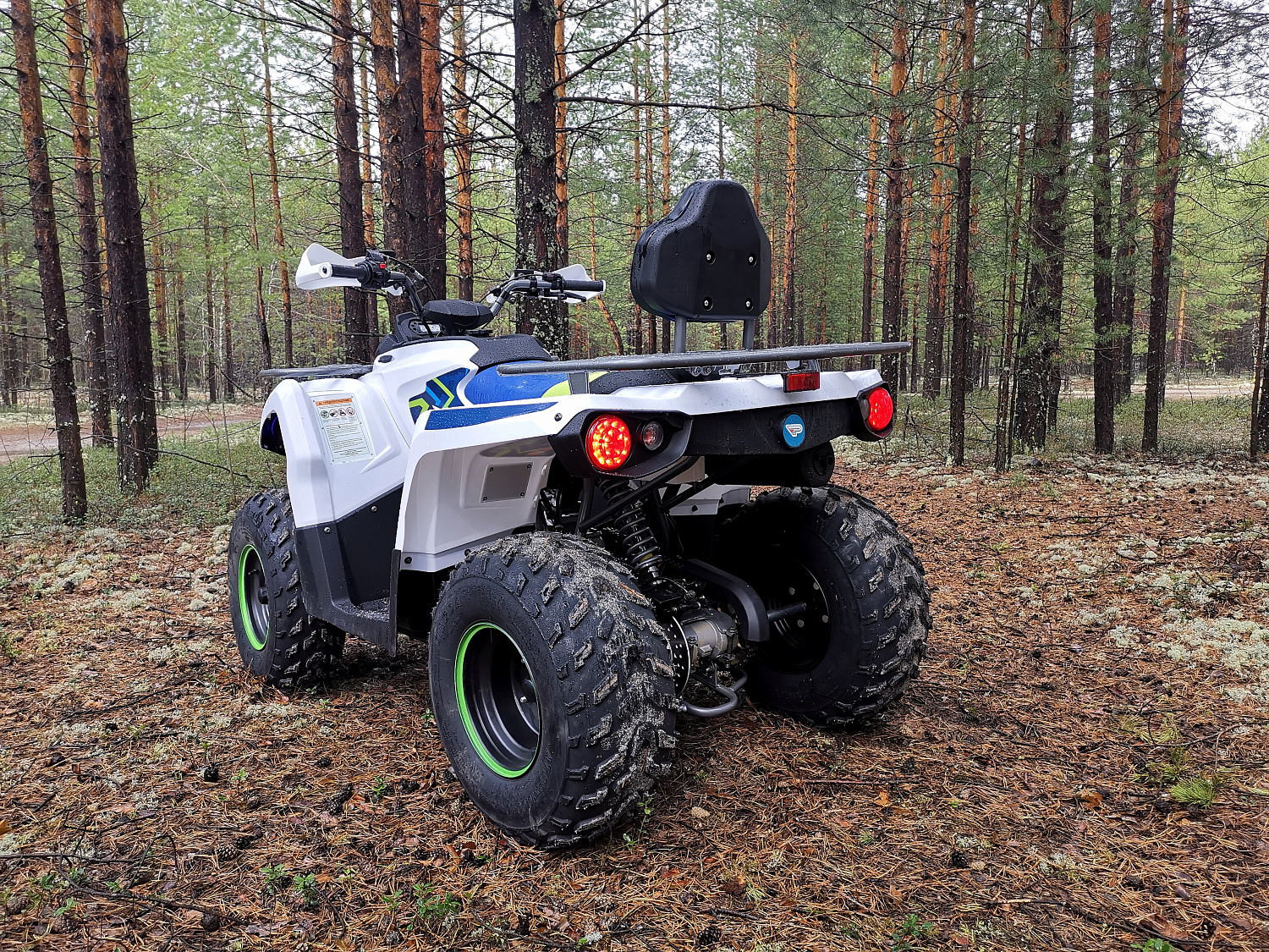 Квадроцикл PROMAX RENEGADE 280 (2025) в Прокопьевске