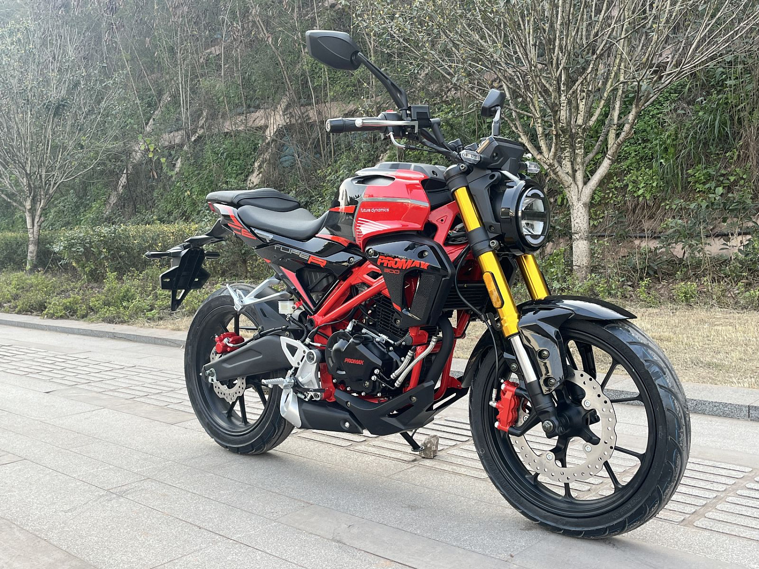 Мотоцикл PROMAX CB300 в Прокопьевске