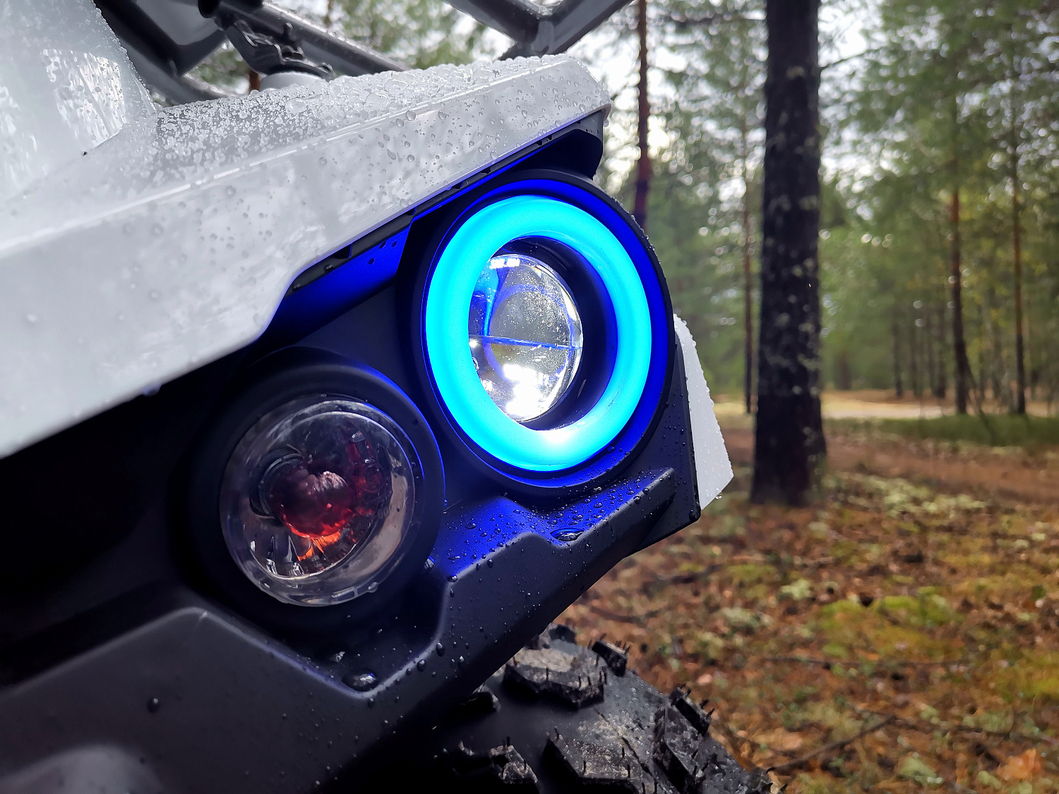 Квадроцикл PROMAX RENEGADE 280 (2025) в Прокопьевске